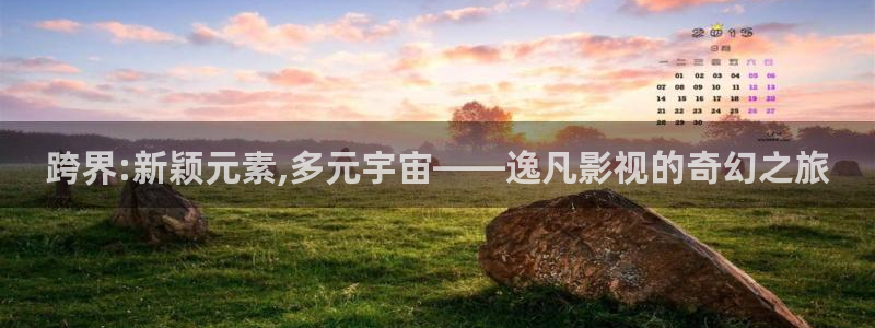 成年人午夜电影免费