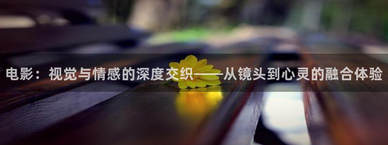 15yc午夜电影院在线观看