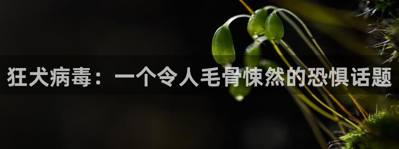 欧美亚洲午夜影院
