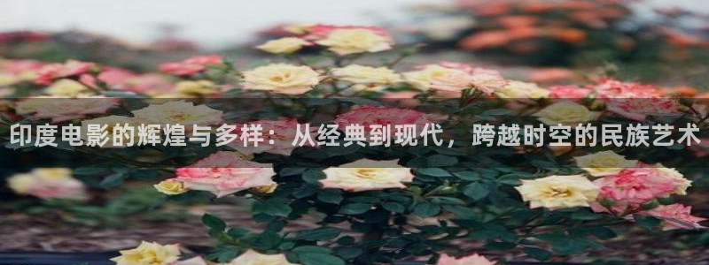 神马不卡午夜影院