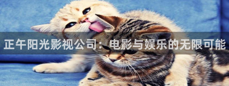 电影 在线午夜